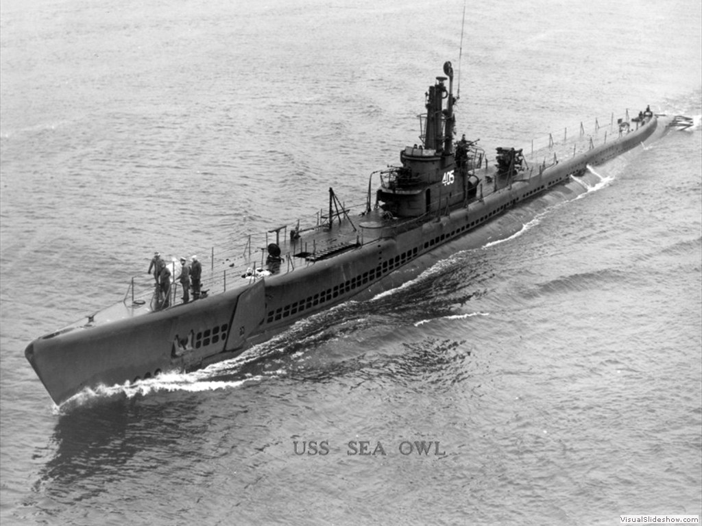 USS Sea Owl (SS-405)